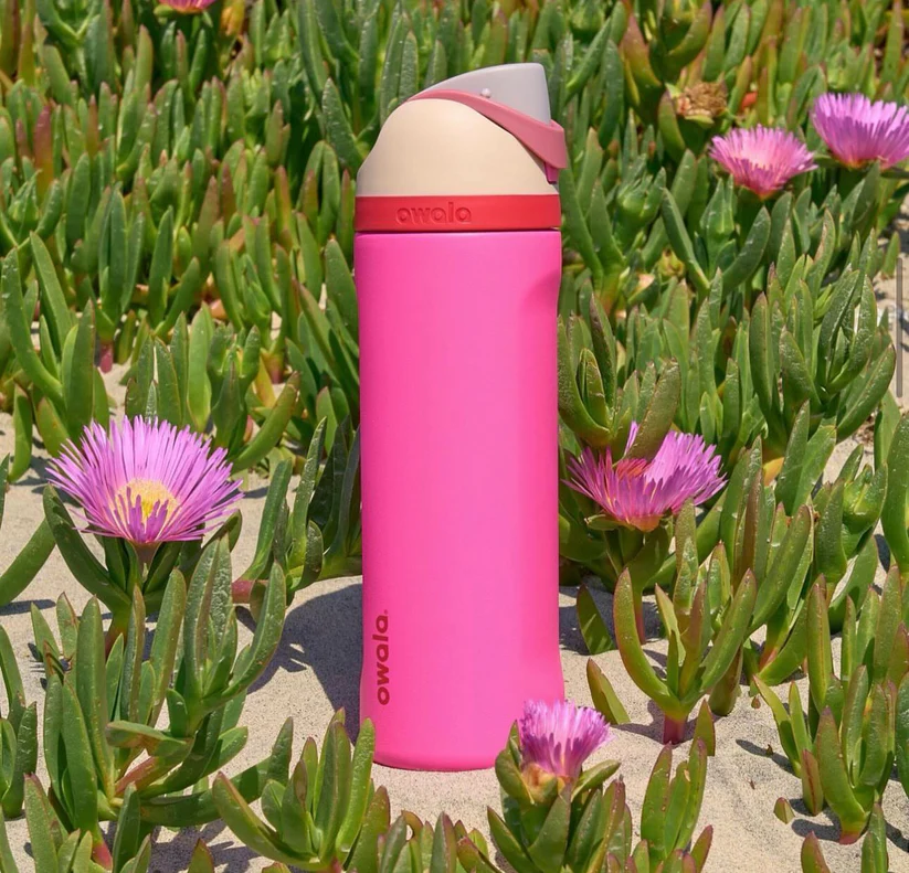 Owala FreeSip - 24oz - Image 66