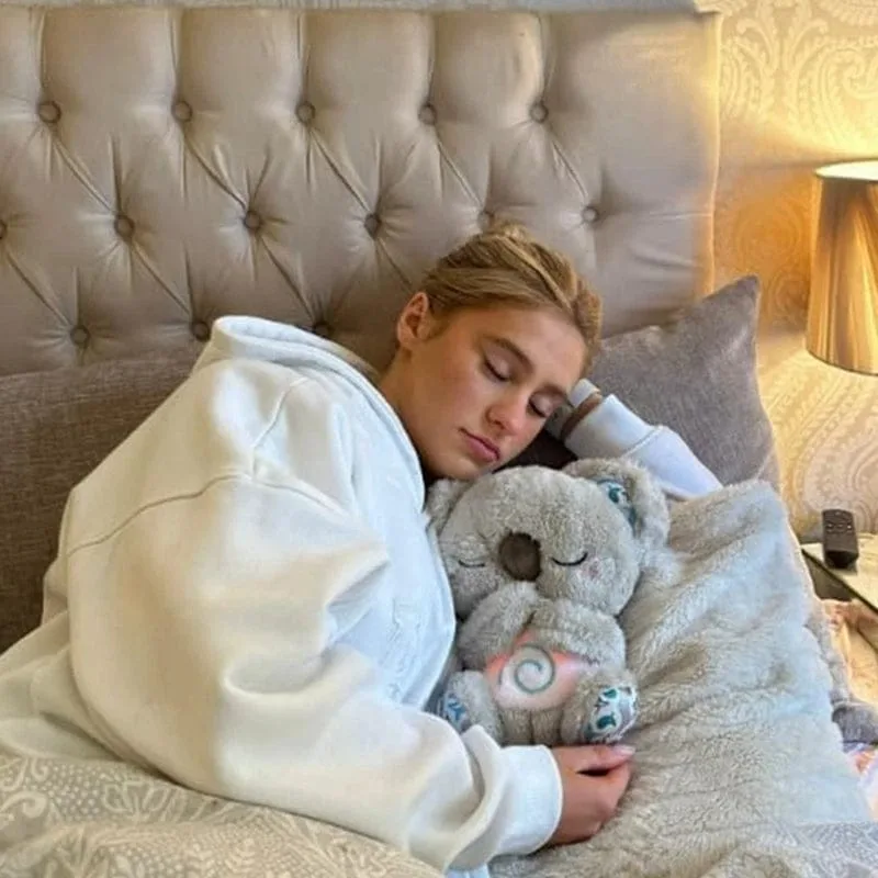 The Breathing Koala - Image 6