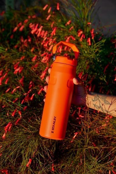 Stanley 24oz | IceFlow™ Bottle with Flip Straw Lid - Image 9